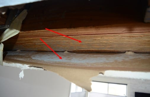 Minor amount of mold growth on beam.