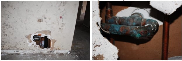 Source of moisture - frost broken plumbing supply line.