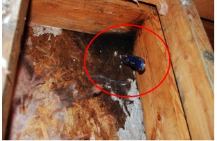 Excessive wood rot on much of the sheathing.