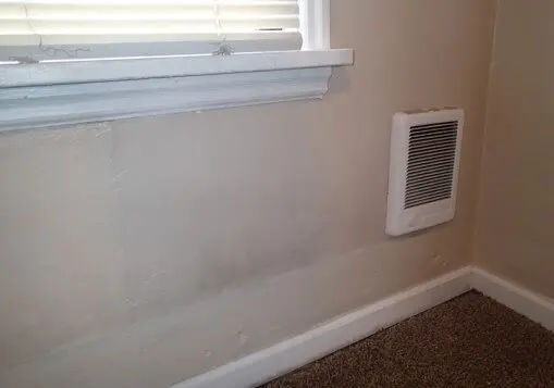 Light mold growth on the wall in the bedroom.