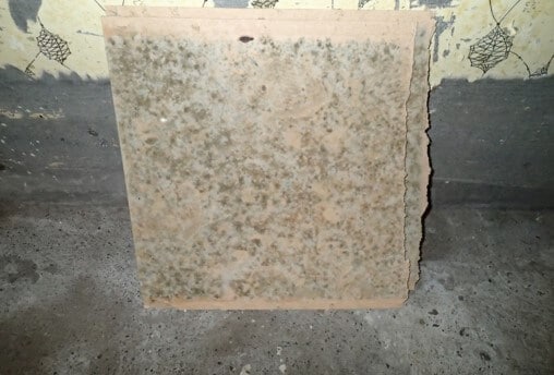 Example of mold growth that was removed from the garage area.