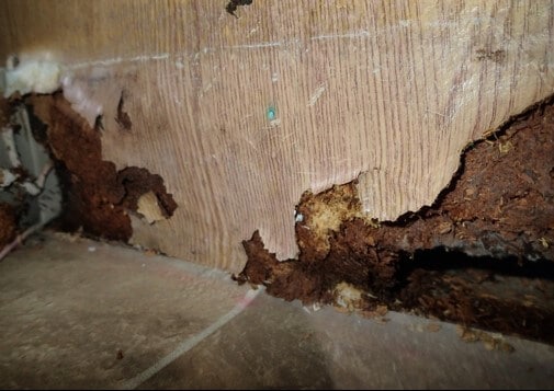 Vanity near toilet shows signs of rot and light mold growth