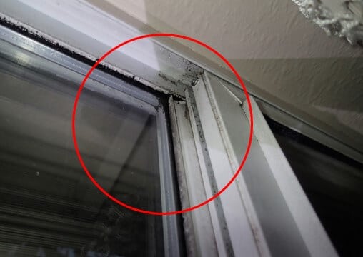Light mold growth around windows from condensation