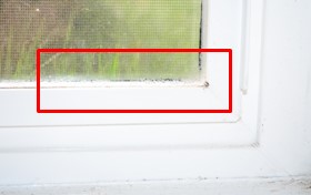 Condensation on Windows
