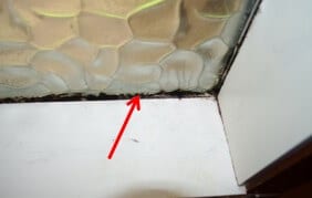 Light Mold on Window