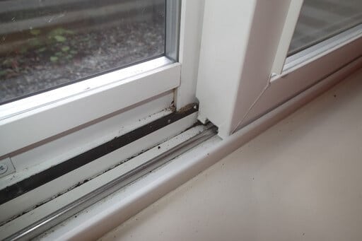 Light condensation-based mold growth around windows.