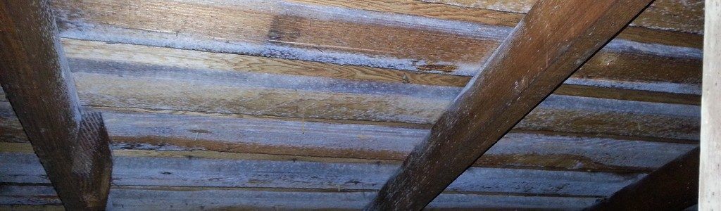Mold on Attic Roof Sheathing What it is and How to Remove it Environix