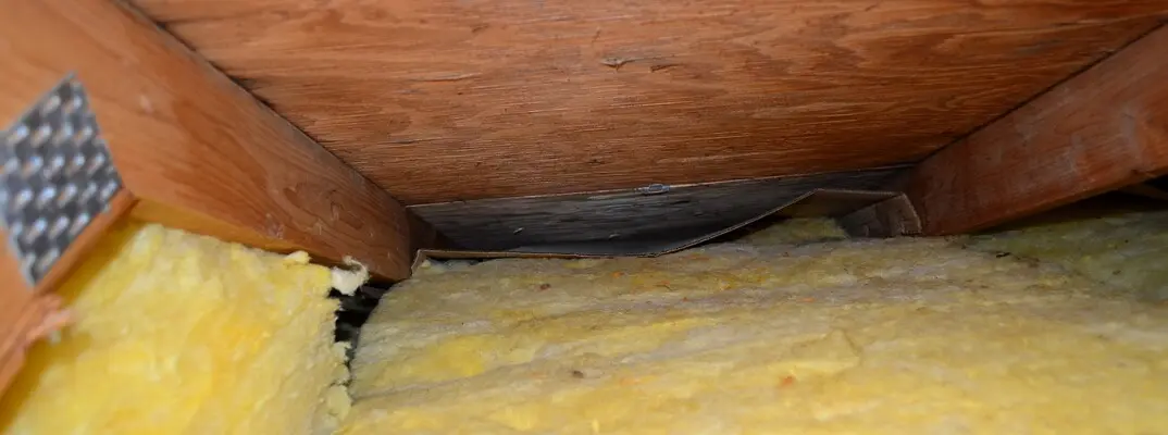roof vent covered