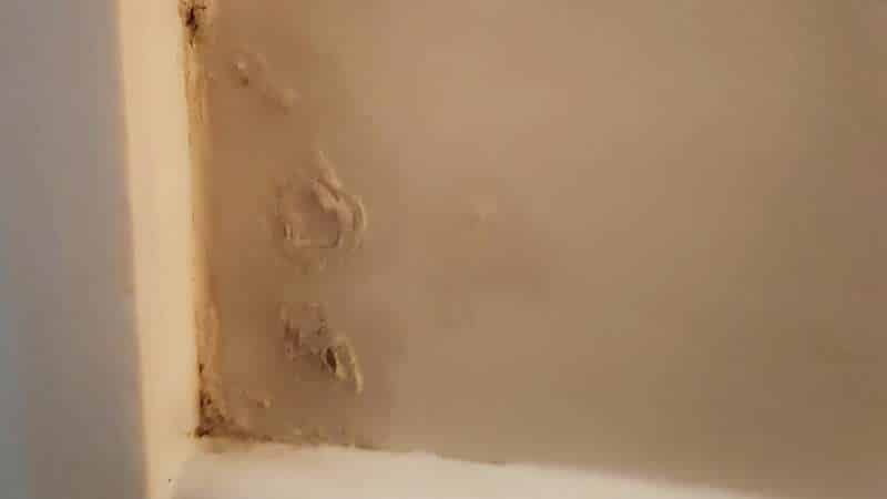 Possible white mold on wall near door. 