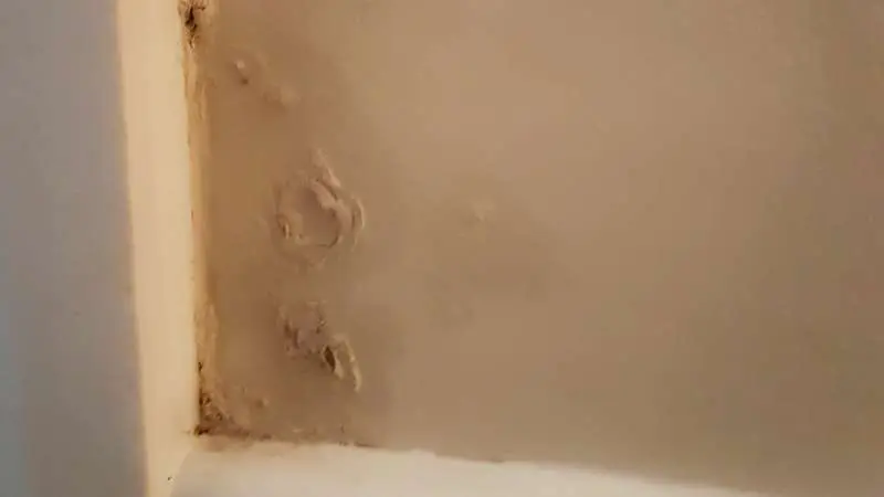 Possible white mold on wall near door. 