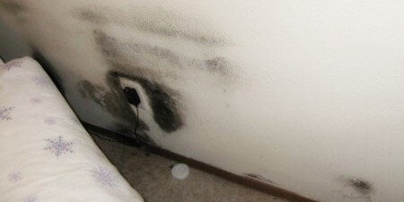 Testing air in bedroom with mold behind bed