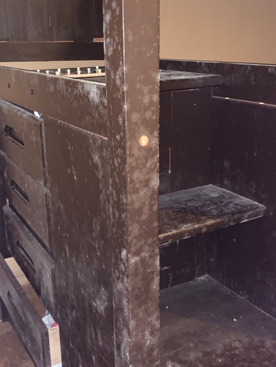 Mold growing on furniture. 