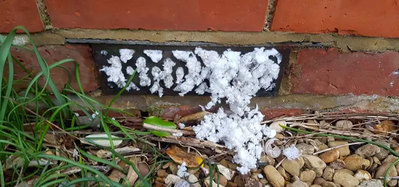 Mysterious White Foam Is Pouring Out Of The Ground In Michigan